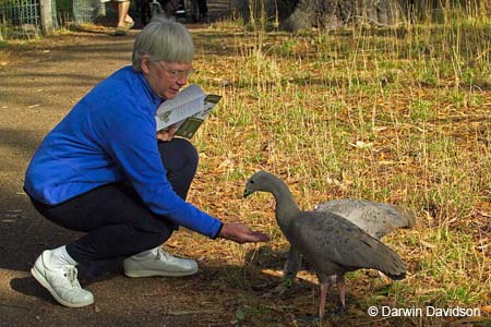 Cleland Wildlife Park-8031