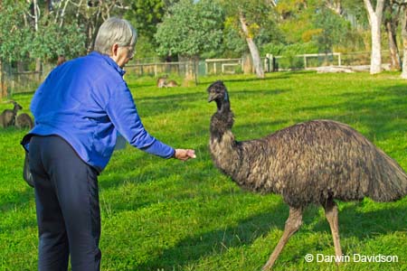 Cleland Wildlife Park-8042