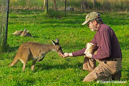 Cleland Wildlife Park-8071