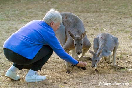 Cleland Wildlife Park-8076