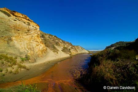 Baylys Beach-9031