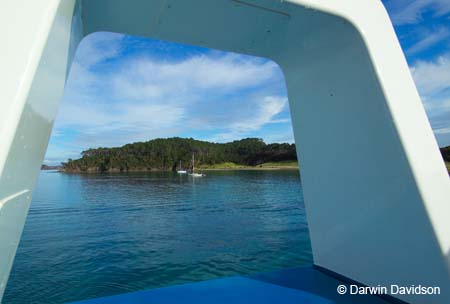 Bay Of Islands Cruise-9157