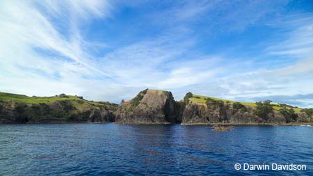 Bay Of Islands Cruise-9175