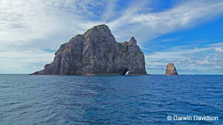 Bay Of Islands Cruise-9185