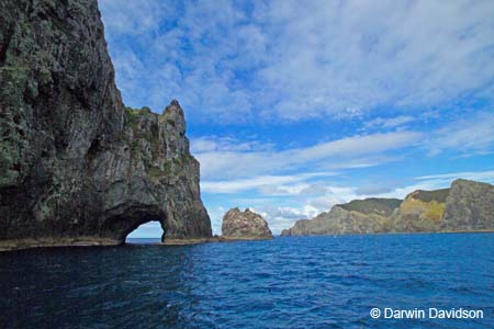 Bay Of Islands Cruise-9226