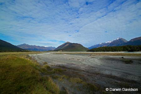 Dart River Jetboat Trip-9335