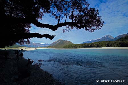 Dart River Jetboat Trip-9368