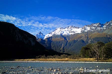 Dart River Jetboat Trip-9387