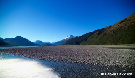 Dart River Jetboat Trip-9472