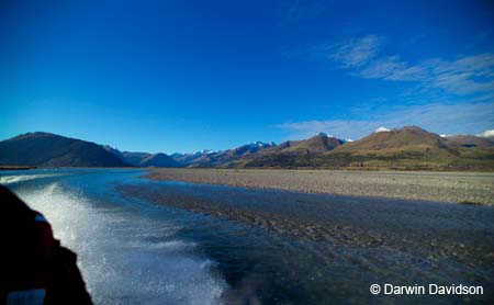 Dart River Jetboat Trip-9496