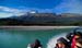 Dart River Jetboat Trip-9373