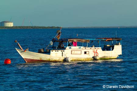 Darwin Dinner Cruise-8453