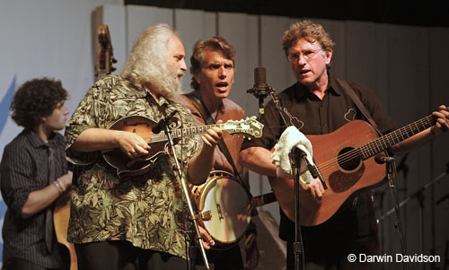 The David Grisman Bluegrass Experience-6921