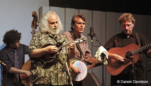 The David Grisman Bluegrass Experience-6924