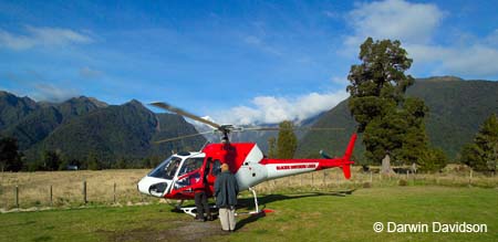 Fox Glacier Helihike-9815