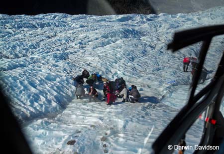 Fox Glacier Helihike-9839