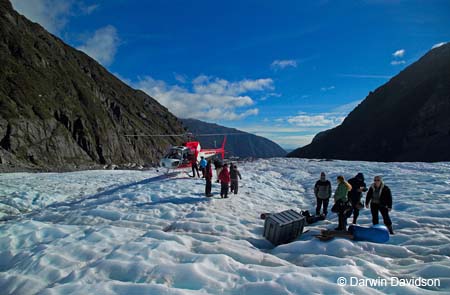 Fox Glacier Helihike-9841