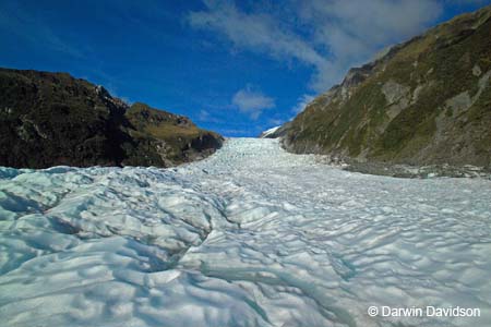 Fox Glacier Helihike-9847