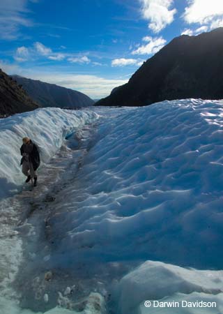 Fox Glacier Helihike-9851