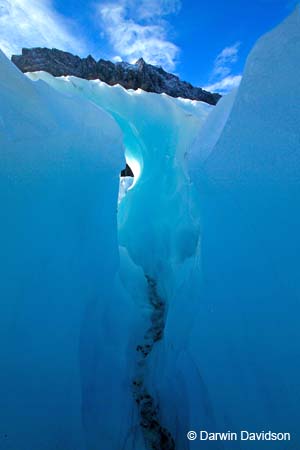 Fox Glacier Helihike-9877