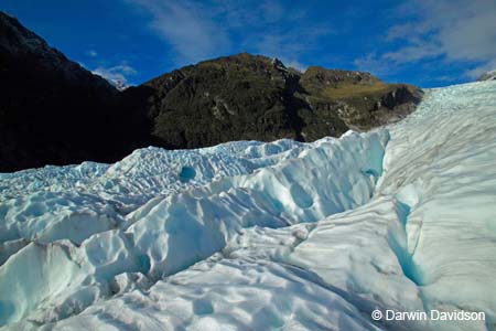 Fox Glacier Helihike-9896