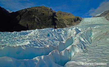 Fox Glacier Helihike-9912