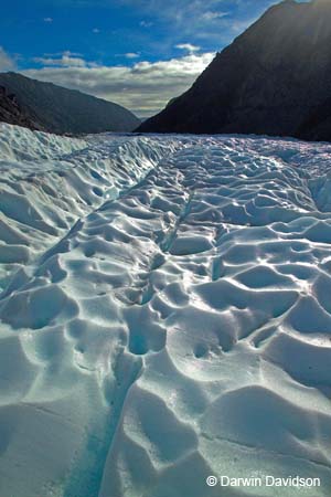 Fox Glacier Helihike-9917