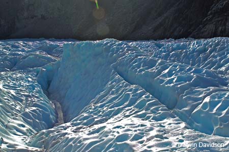 Fox Glacier Helihike-9920