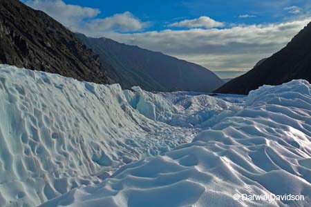 Fox Glacier Helihike-9925