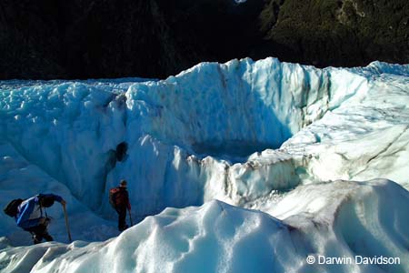 Fox Glacier Helihike-9934