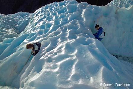 Fox Glacier Helihike-9946