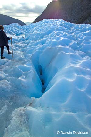 Fox Glacier Helihike-9980