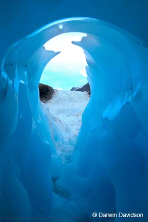 Fox Glacier Helihike-9997