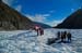 Fox Glacier Helihike-9841