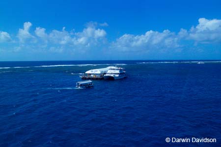 Great Barrier Reef-8551