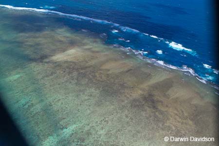 Great Barrier Reef-8565