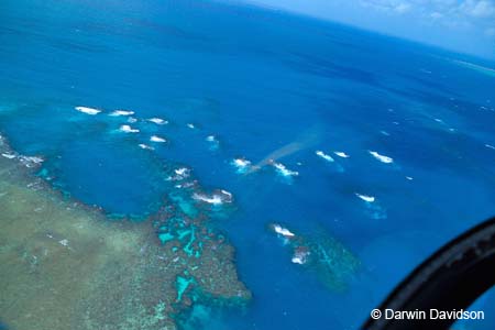 Great Barrier Reef-8590