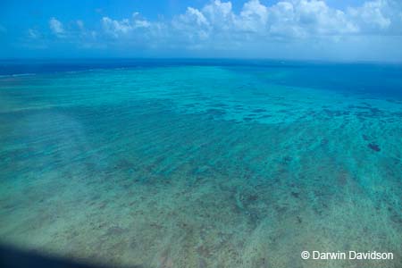 Great Barrier Reef-8595