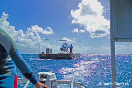 Great Barrier Reef-8633