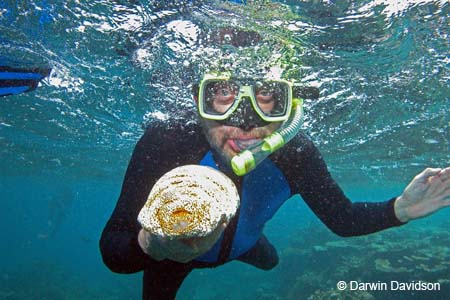 Scuba Diving, Darwin-0111