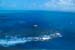 Great Barrier Reef-8606