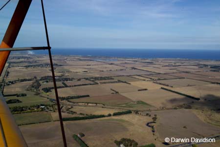 Tigermoth flight-7640