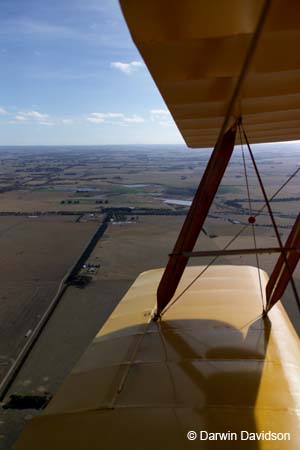 Tigermoth flight-7677