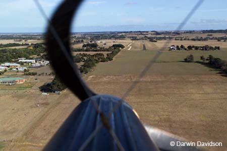 Tigermoth flight-7683