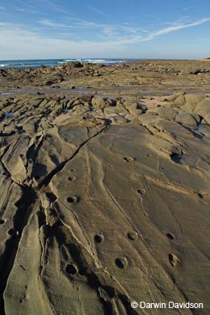 Shoreline Rocks, Lorne, Victoria-7754