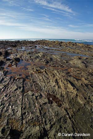 Shoreline Rocks, Lorne, Victoria-7756