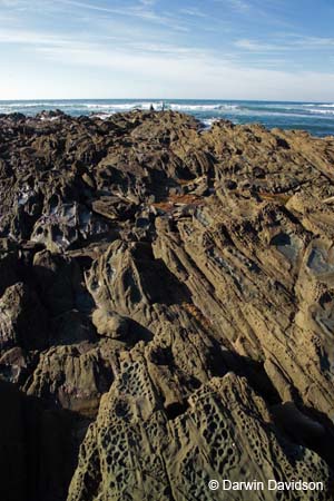 Shoreline Rocks, Lorne, Victoria-7757