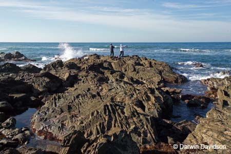 Shoreline Rocks, Lorne, Victoria-7768