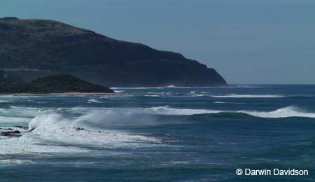 Storm Point, Victoria-7807