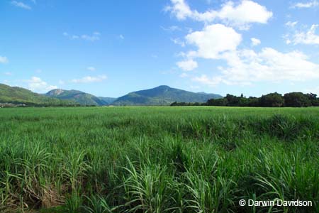 Kuranda Scenic Railway-8686